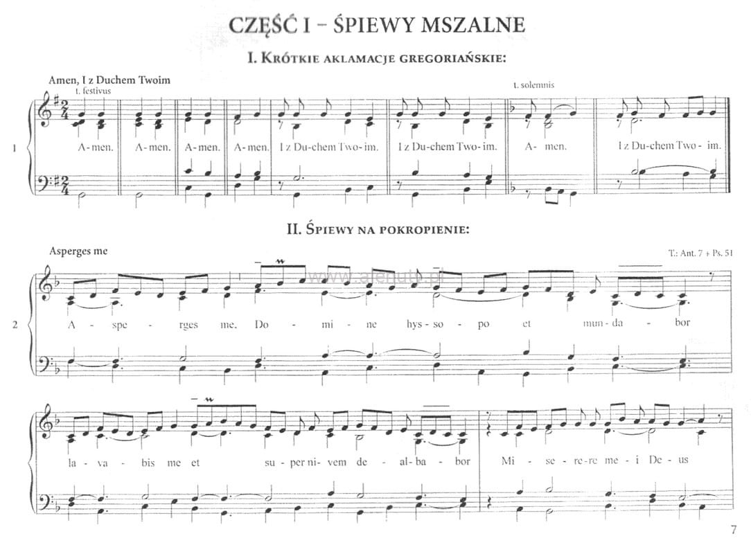 Śpiewajmy i grajmy Panu - śpiewnik dla organistów - ks. Stefan Czerniej