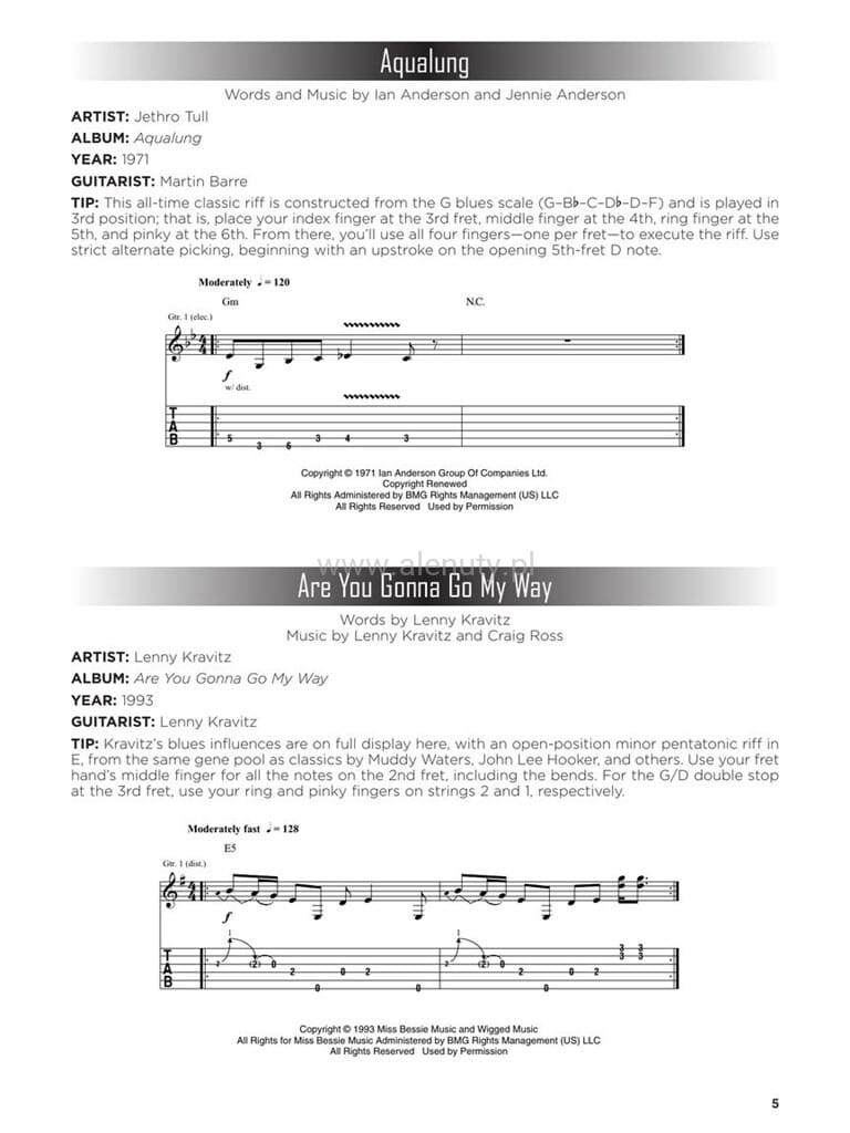 First 50 Riffs You Should Play on Guitar - nuty i tabulatury na gitarę ...