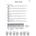 Gitara rockowa - Wojciech Seweryn - szkoła dla gitarzystów