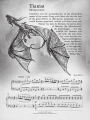 Jason Sifford: Here Be Dragons - 8 Original Solos - nuty na fortepian