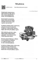 100 piosenek dla dzieci - Marcin Borkowski - 300 plików z aranżacjami do pobrania (+ mp3 online)