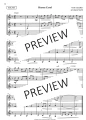 Festive Clarinet Fun - Karen North (+ audio online) - utwory na różne święta na koniec roku kalendarzowego - solo, duety, tria - nuty na klarnet
