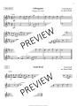 Festive Clarinet Fun - Karen North (+ audio online) - utwory na różne święta na koniec roku kalendarzowego - solo, duety, tria - nuty na klarnet