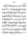 Concert Pieces for Viola and Piano - Kurt Sassmannshaus - nuty na altówkę z fortepianem