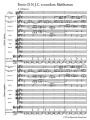 Jan Sebastian Bach: St. Matthew Passion BWV 244 - Pasja wg św. Mateusza - nuty na chór i orkiestrę - partytura studyjna