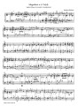 Organ and Keyboard Music at the Salzburg Court 1500-1800 - nuty na organy (fortepian)