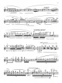 In 27 Pieces: The Hilary Hahn Encores - nuty na skrzypce z fortepianem