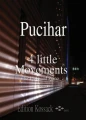 Blaz Pucihar: 4 Little Movements op. 1 for Flute and Piano - nuty na flet poprzeczny i fortepian
