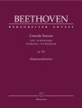Ludwig van Beethoven: Grande Sonate B-flat major op. 106 Hammerklavier - Sonata fortepianowa nr 29 B-dur