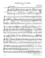 Franz Schubert: Sonate in a ‘Arpeggione’ bearbeitet fur Flote und Klavier - Sonata a-moll Arpeggione D 821 - nuty na flet poprzeczny i fortepian
