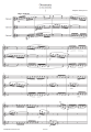 Ornamenty na 3 klarnety - Władysław Walentynowicz, Grzegorz Wieczorek - nuty na trio klarnetowe