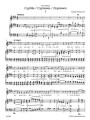 Antonin Dvorak: Cyprise pro tenor a klavir B 11 - Cyprysy pieśni - nuty na głos tenor i fortepian