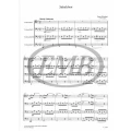 Chamber Music for violoncellos 9 - Arpad Pejtsik - muzyka kameralna na 4 wiolonczele