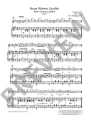 Violinissimo: Wien bleibt Wien - Vienna Forever - Waltzes, Polkas and Marches by Strauss and Others - nuty na skrzypce i fortepian