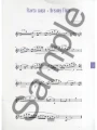 Blaz Pucihar: Flute at Play (+ płyta CD) - nuty na flet poprzeczny z fortepianem