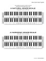 Scale Shapes For Piano - Grade 2 - Frederick Stocken - skale na fortepian