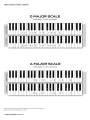 Scale Shapes For Piano - Grade 3 - Frederick Stocken - skale na fortepian