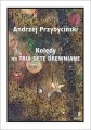 Andrzej Przybyciński: Kolędy na tria dęte drewniane