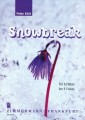 Peter Kutt: Snowbreak - aranżacja na kwintet fletowy