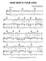 Piano Play-Along Volume 105: Bee Gees - nuty na fortepian, melodia, akordy gitarowe i słowa (+ płyta CD)