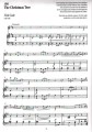 Music Through Time Flute Book 3 - Paul Harris, Sally Adams - nuty na flet z akompaniamentem
