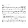 Kleine Choralvorspiele und Begleitsatze zu den Liedern des Evangelischen Gesangbuches: Advent und Weihnachten - Gunther Martin Göttsche, Martin Weyer - nuty na organy