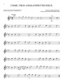 Christmas Carols for Flute: 10 Holiday Favorites - łatwe kolędy na flet poprzeczny (+ audio online)