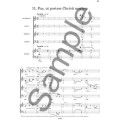 Karl Jenkins: Stabat Mater - nuty na chór SATB