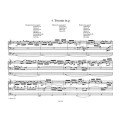 Johann Pachelbel: Ausgewahlte Orgelwerke V - Selected Organ Works 5 - dzieła organowe - nuty na organy