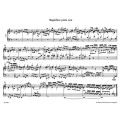 Johann Pachelbel: Ausgewahlte Orgelwerke VII - Selected Organ Works 7 - dzieła organowe - nuty na organy