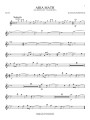 Minecraft: Flute - piosenki z gry komputerowej - nuty na flet poprzeczny (+ audio online)