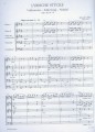 Edvard Grieg: Lyrische Stucke (Score & Parts) - 4 utwory liryczne - nuty na szkolną orkiestrę smyczkową