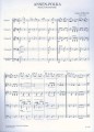Strauss: 2 Polkas, Radetzky-Marsch (Score & Parts) - Annen-Polka op. 117, Polka Pizzicato op. 449, Marsz Radeckiego op. 228 - nuty na szkolną orkiestrę smyczkową