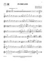 The Lord Of The Rings Instrumental Solos: Flute (+ płyta CD) - muzyka z filmu Władca Pierścieni na flet poprzeczny - Howard Shore