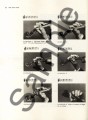 890e4b6c4165e5b9c4ea65e6d213e9b4
