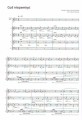 Cantat Superstars przeboje gwiazd w aranżacji na głos solowy i chór mieszany a cappella - Jacek Sykulski, Marcin Wawruk