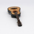 magnes-gitara-4.jpg