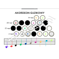 Moje pierwsze melodie - piosenki na akordeon klawiszowy i guzikowy - Arkadiusz Gembara - nuty na akordeon ( + audio online)