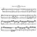 Jan Sebastian Bach - Organ Works Volume 11 - Orgelwerke Band 11 - Utwory organowe część 11 - Peter Wollny, Ulrich Bartels