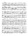 Ludwig van Beethoven: Three Quartets WoO 36 - trzy kwartety fortepianowe - nuty na fortepian, skrzypce, altówkę i wiolonczelę - partytura i głosy