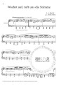 Bach Transcriptions for Piano - nuty na fortepian solo