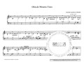 Liber Organi 11: Organ Music of the Spanish Baroque Period - Orgelmusik des spanischen Barock - nuty na organy