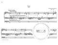 Liber Organi 14: Selected Organ Pieces of the Romantic Period 1 - Ausgewahlte Orgelstucke der Romantik 1 - nuty na organy