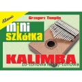 Miniszkółka - KALIMBA - Grzegorz Templin - szkoła gry i nuty na kalimbę 10 tonową lub 17 tonową
