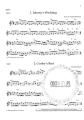 Irish Folk Tunes for Flute Volume 1 - 71 ludowych melodii irlandzkich - Patrick Steinbach (+ audio online) - nuty na flet poprzeczny
