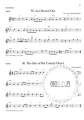 Irish Folk Tunes for Flute Volume 1 - 71 ludowych melodii irlandzkich - Patrick Steinbach (+ audio online) - nuty na flet poprzeczny