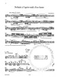 Orchester Probespiel Flote / Piccoloflote - Test Pieces for Orchestral Auditions Flute / Piccolo - utwory na przesłuchania do orkiestry (orkiestrówki) - nuty na flet poprzeczny / flet piccolo