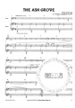 Celtic Folk Songs for All Ages: Violin (+ płyta CD) - nuty na skrzypce