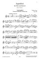 Wilhelm Popp: Jugendlust op. 489 Volume 2 - nuty na flet poprzeczny z fortepianem