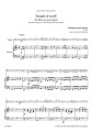 Wolfgang Amadeus Mozart - Sonata d-moll (KV 304) na fagot z fortepianem